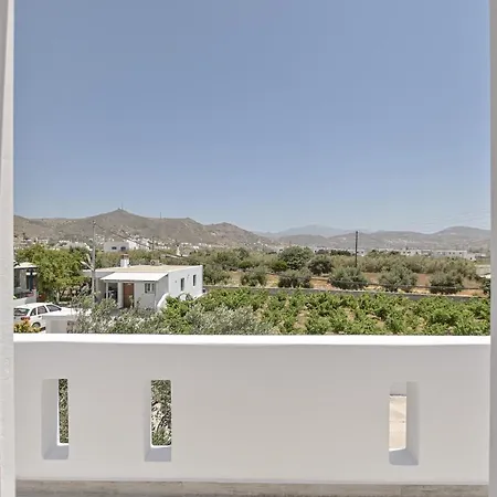 Elaion Naxos Town Vakantiehuis Naxos City