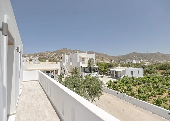 Elaion Naxos Town Naxos City